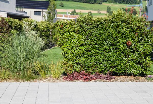 Wuehlmaus_Gartenbau_Pflege_GmbH__35