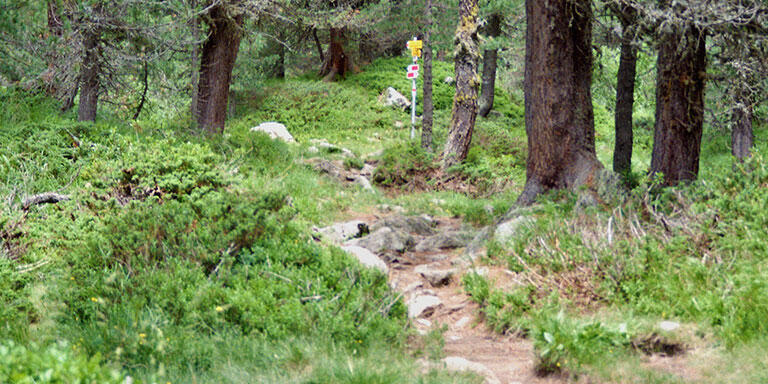 Wuehlmaus-Gartenbau-Engelberg-09